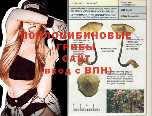 молекула духа Алексеевка