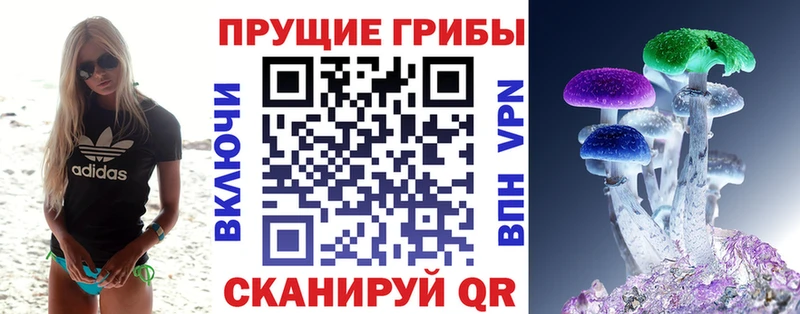 Псилоцибиновые грибы GOLDEN TEACHER  Заринск 
